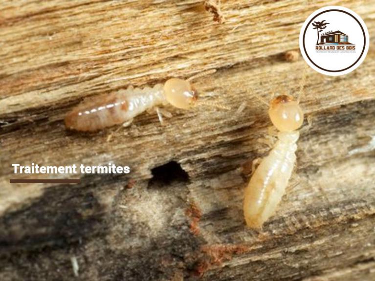 Traitement termites à Pontivy (56300).