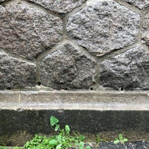 Assèchement des murs à Nantes – remontées capillaires – Rolland des Bois