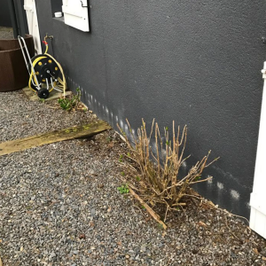 Traitement des remontées capillaires à Nantes (44)