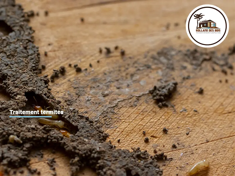 Traitement termites à Nantes en Loire-Atlantique, chantier réalisé par Rolland des Bois entreprise experte du traitement termites.