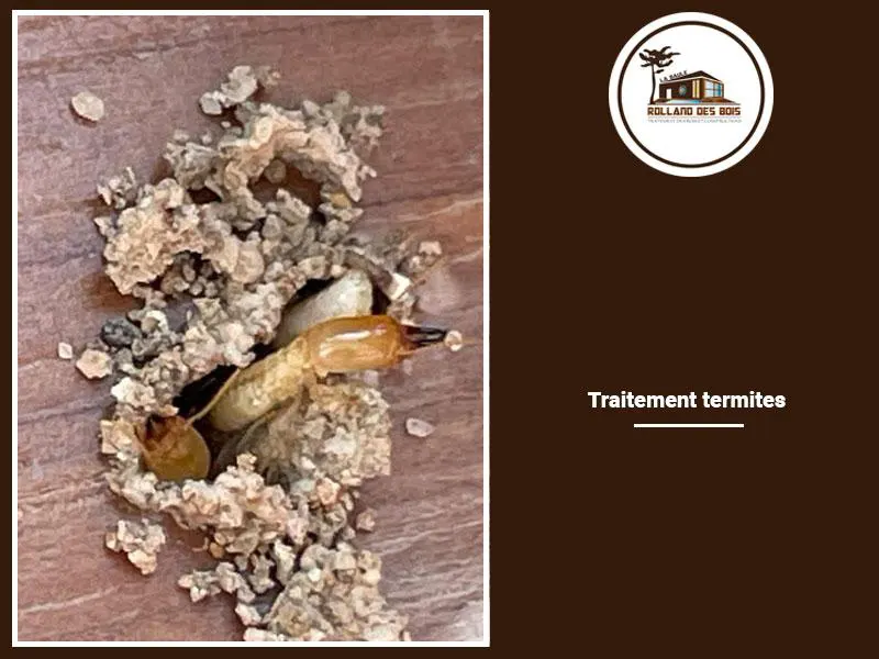 Traitement termites, insectes xylophages à Nantes, chantier effectué par le spécialiste de la Loire-Atlantique Rolland des Bois.