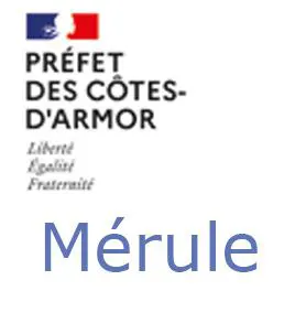 Mérule Côtes d'Armor