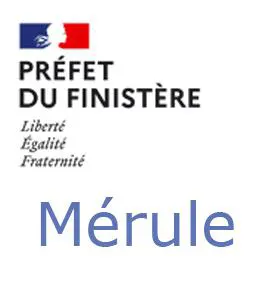 Mérule FINISTÈRE