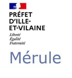 Mérule ILLE-ET-VILAINE