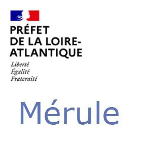 Mérule Loire-Atlantique