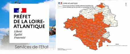 La lutte contre les termites en Loire-Atlantique
